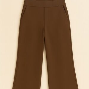 Old Navy High-Rise Pixie Wide-Leg Pants – Brown – Size Large Petite – NWT